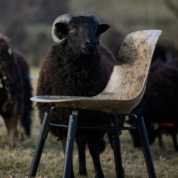 Solidwood chair
