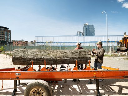Reclaimed trunk on trailer at Brooklyn wood yard