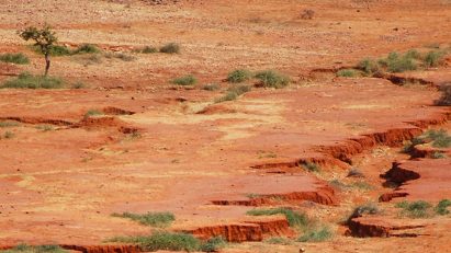 Landscape architects “could be very important” to Africa’s Great Green Wall says Elvis Paul Tangem