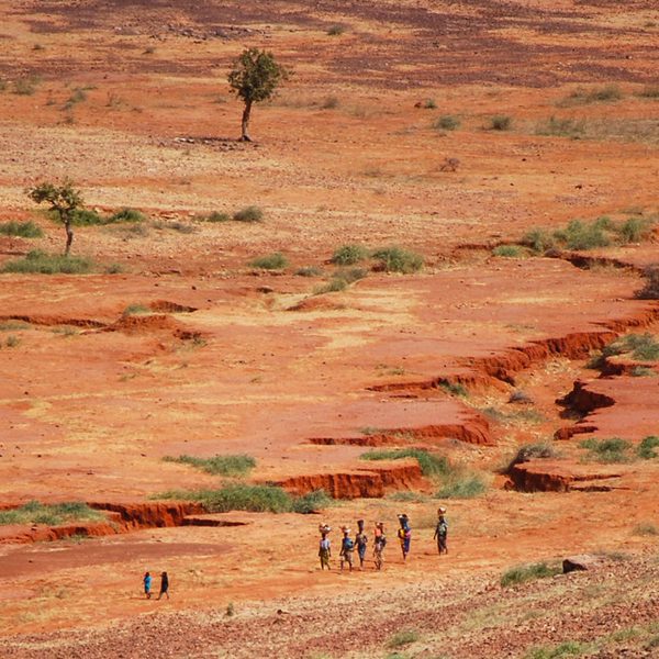 Landscape architects “could be very important” to Africa’s Great Green Wall says Elvis Paul Tangem