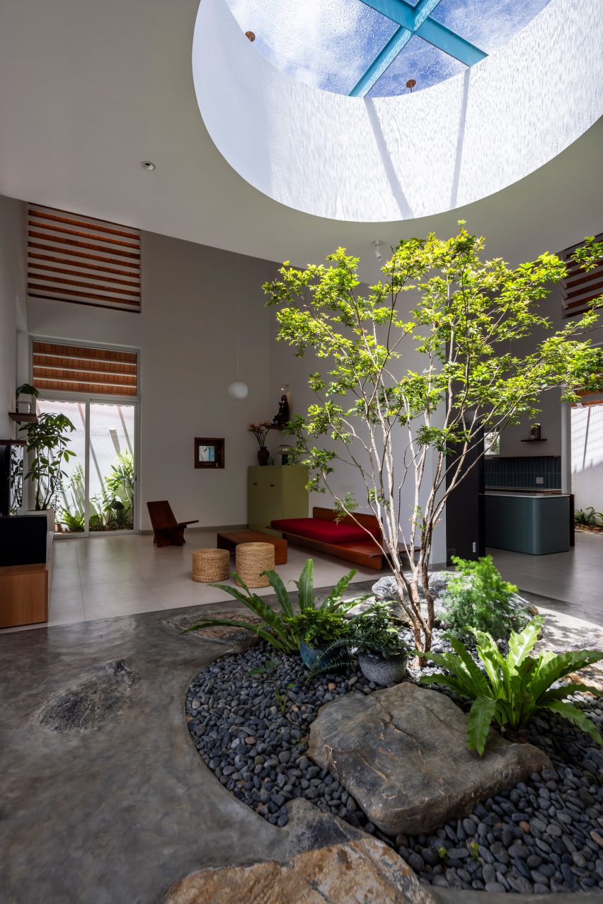 Planted tree below a circular skylight in a home