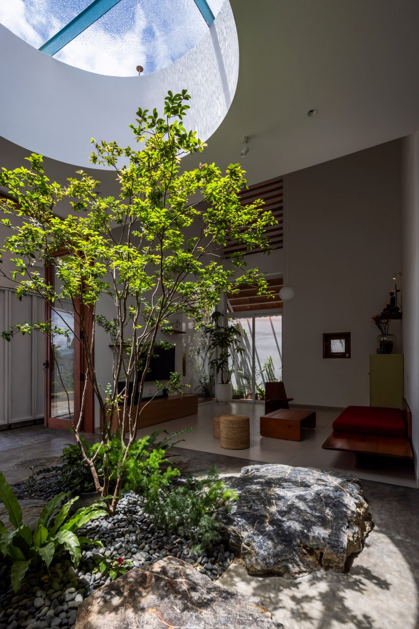 Planted tree below a circular skylight in a home