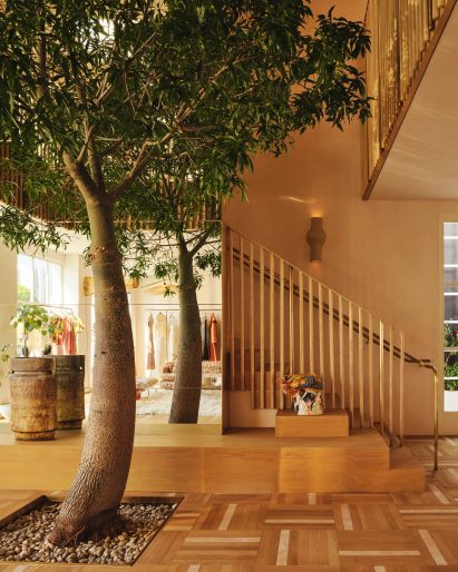 Double-height Brachychiton tree at the Ulla Johnson store
