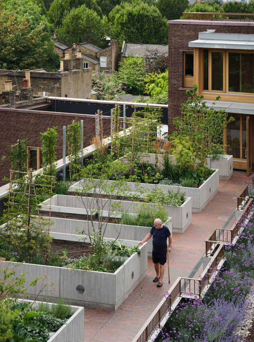 Outdoor plant boxes on a roof at