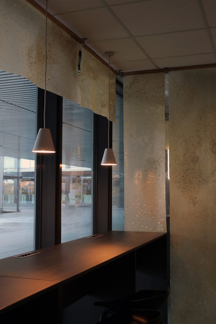 Beer-based panels