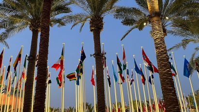 Flagpoles and palm trees at COP28 in Dubai