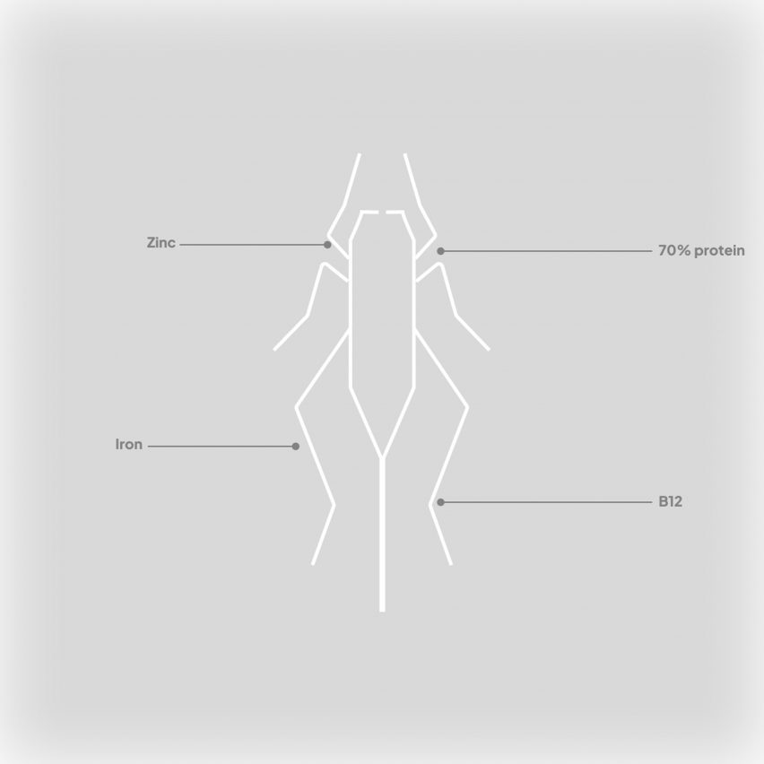 cricket protein diagram