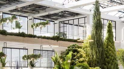 an open plan interior with plant decoration