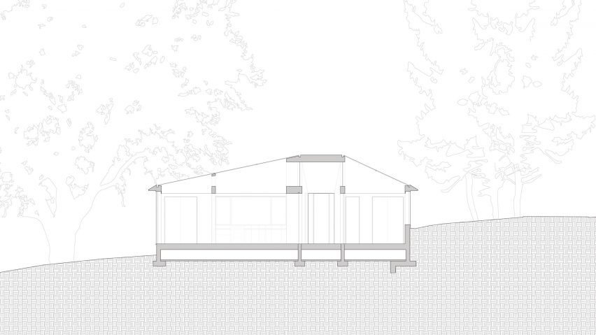 section drawing of diagram drawing of diamond adu Schwartz and Architecture