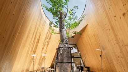 Tree growing through Harudot cafe by IDIN Architects
