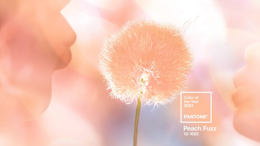 “Compassionate and nurturing” Peach Fuzz named as Pantone Colour of the Year 2024