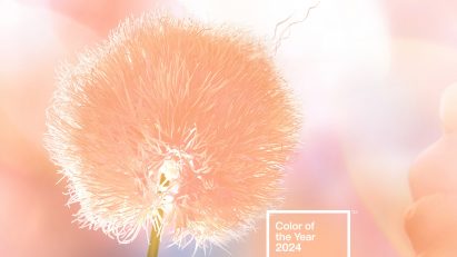 Pantone 2024 Colour of the Year Peach Fuzz