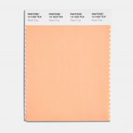 Peach Fuzz colour swatch