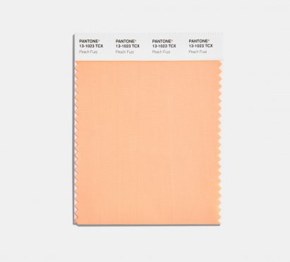 Peach Fuzz colour swatch