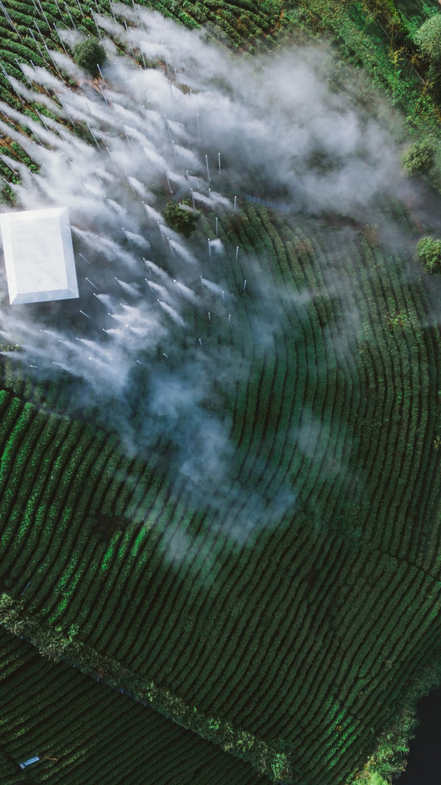 Cloud Tea House by Plat Asia in Huzhou China