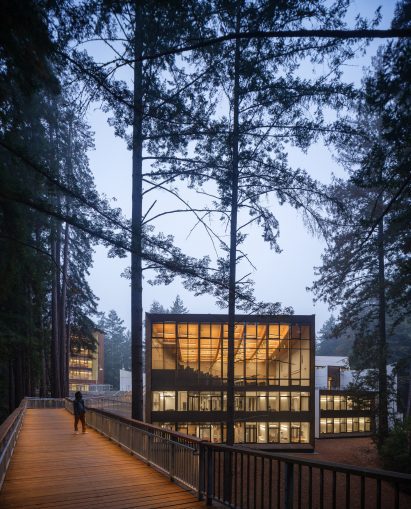 Glass window back lit with trees in the forest
