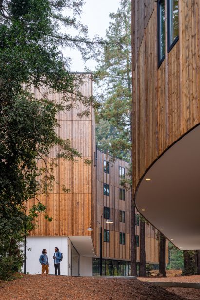 Wooden buildings among the trees
