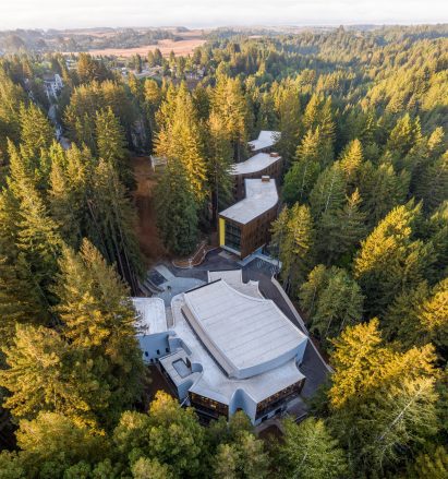 White topped roofs of buildings in California forest
