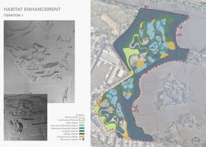 Topographical maps of site