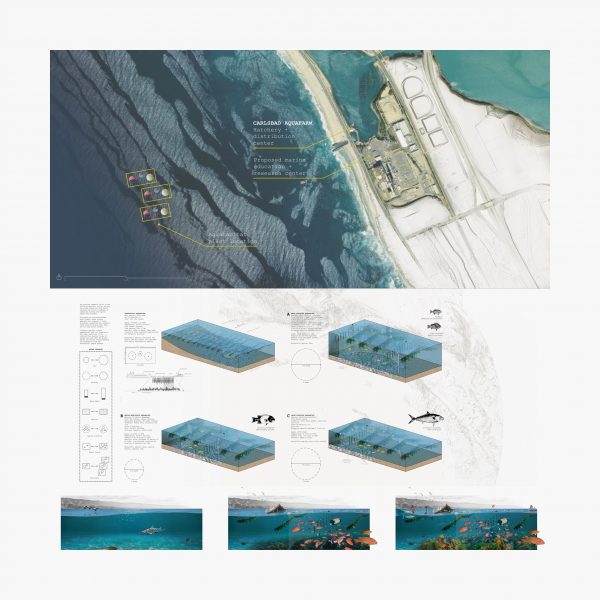 Diagrams showing ocean life