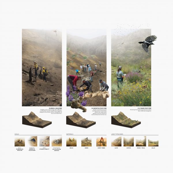 Visualisations showing the impact of wild fires