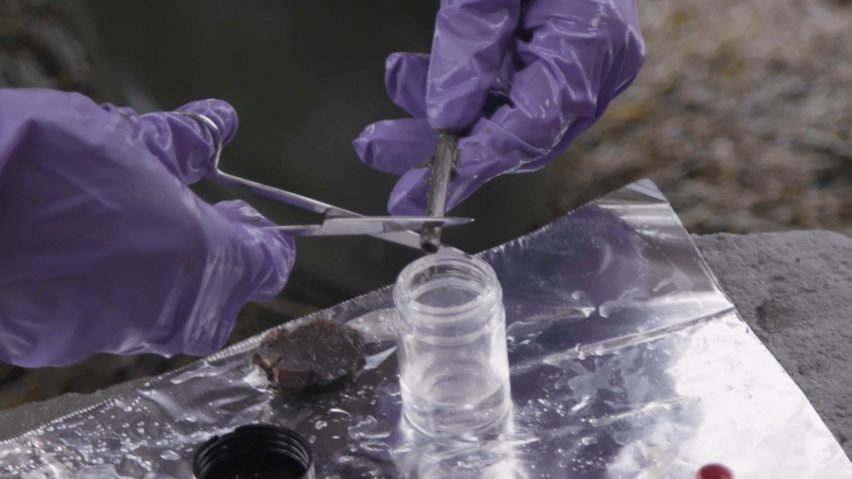 Bioplastic straw being tested