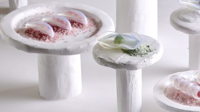 Conceptual design project featuring materials that resemble sushi