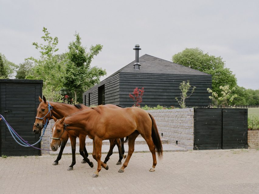 Horses outside a polo farm and stables in Surrey