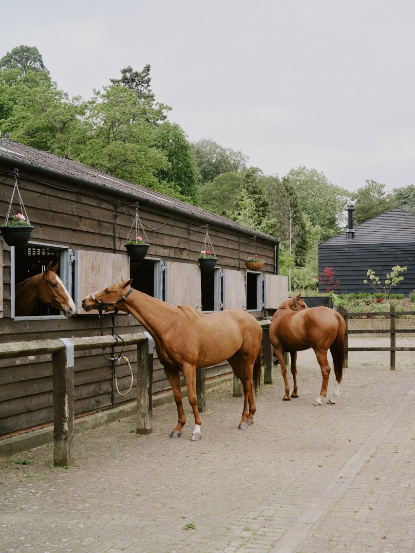 Horses at a polo field stable