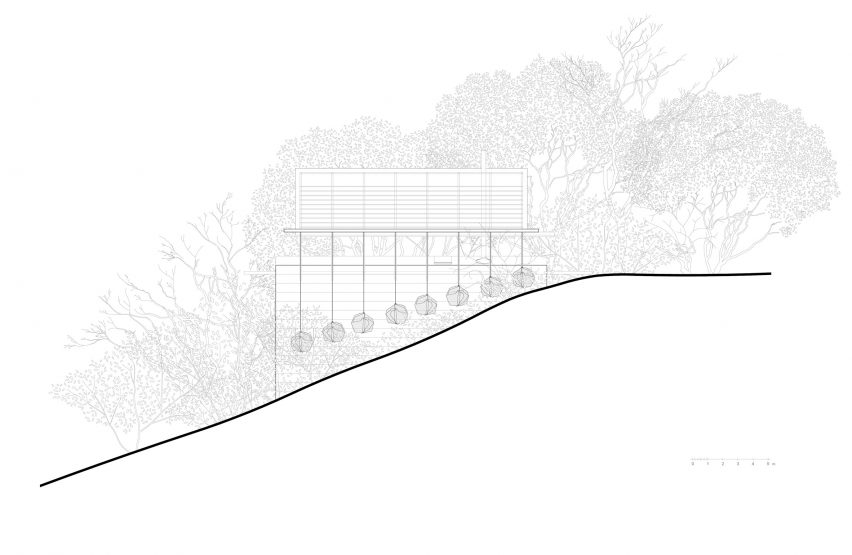 Elevation