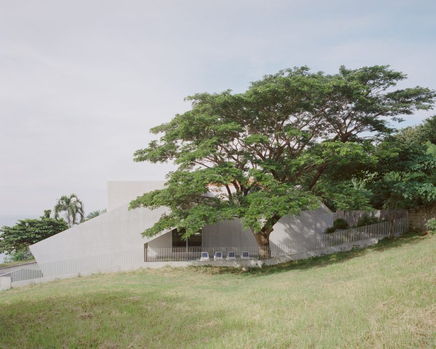 Acacia tree in front of FR House in the Philippines by CAZA