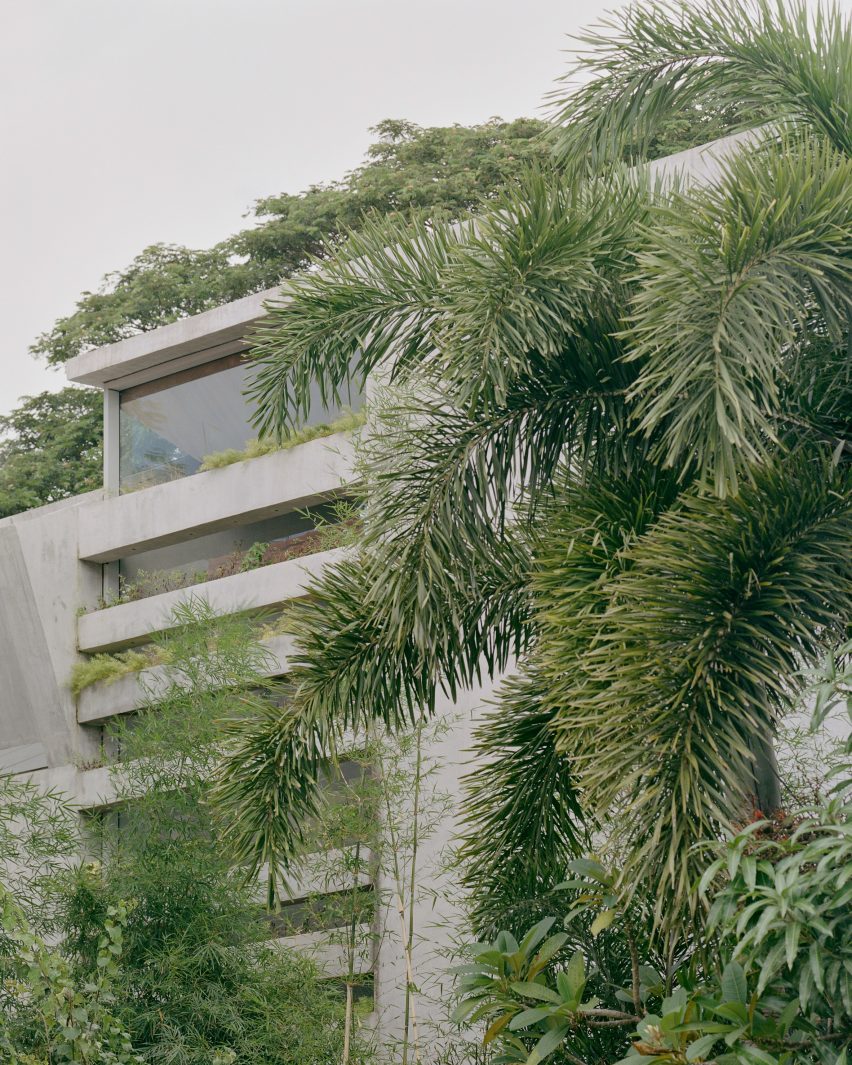 Greenery in front of FR House in the Philippines by CAZA