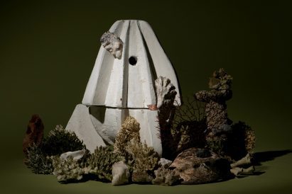 Reef Rocket by Mary Lempres
