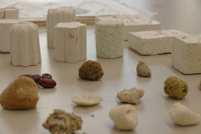 Bio-cement samples