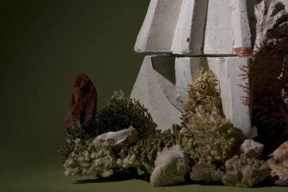 Close-up of textured oyster reef-like structure