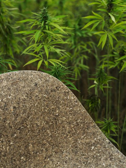 Mat eelgrass chair by Foersom & Hiort-Lorenzen and Norman Copenhagen surrounded by hemp plants
