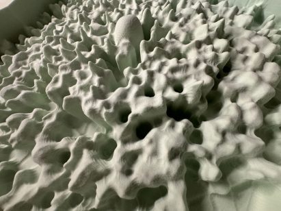 Closeup photograph showing coral-like object