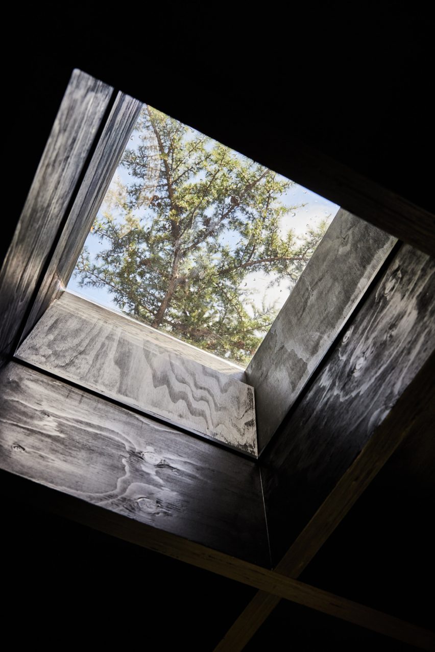 A Room Around a Tree in London by Tikari Works