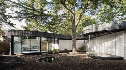 A Room Around a Tree in London by Tikari Works