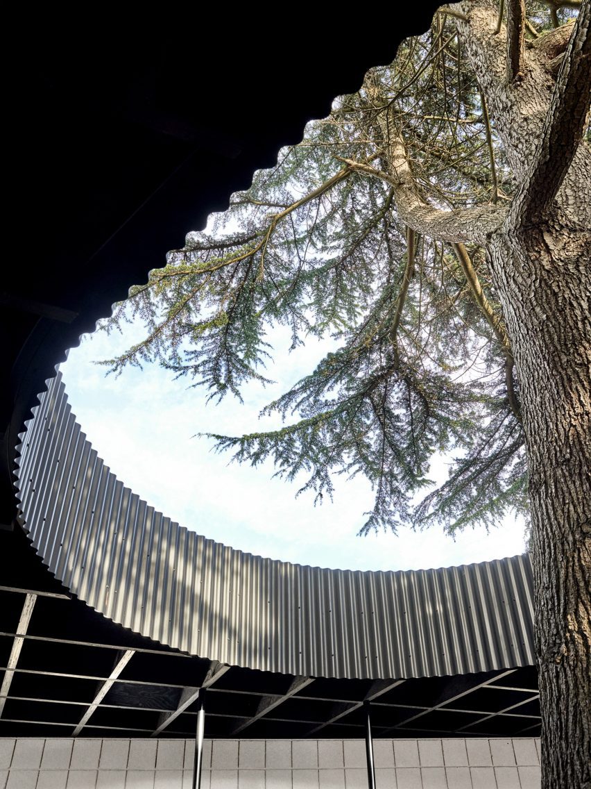 A Room Around a Tree in London by Tikari Works