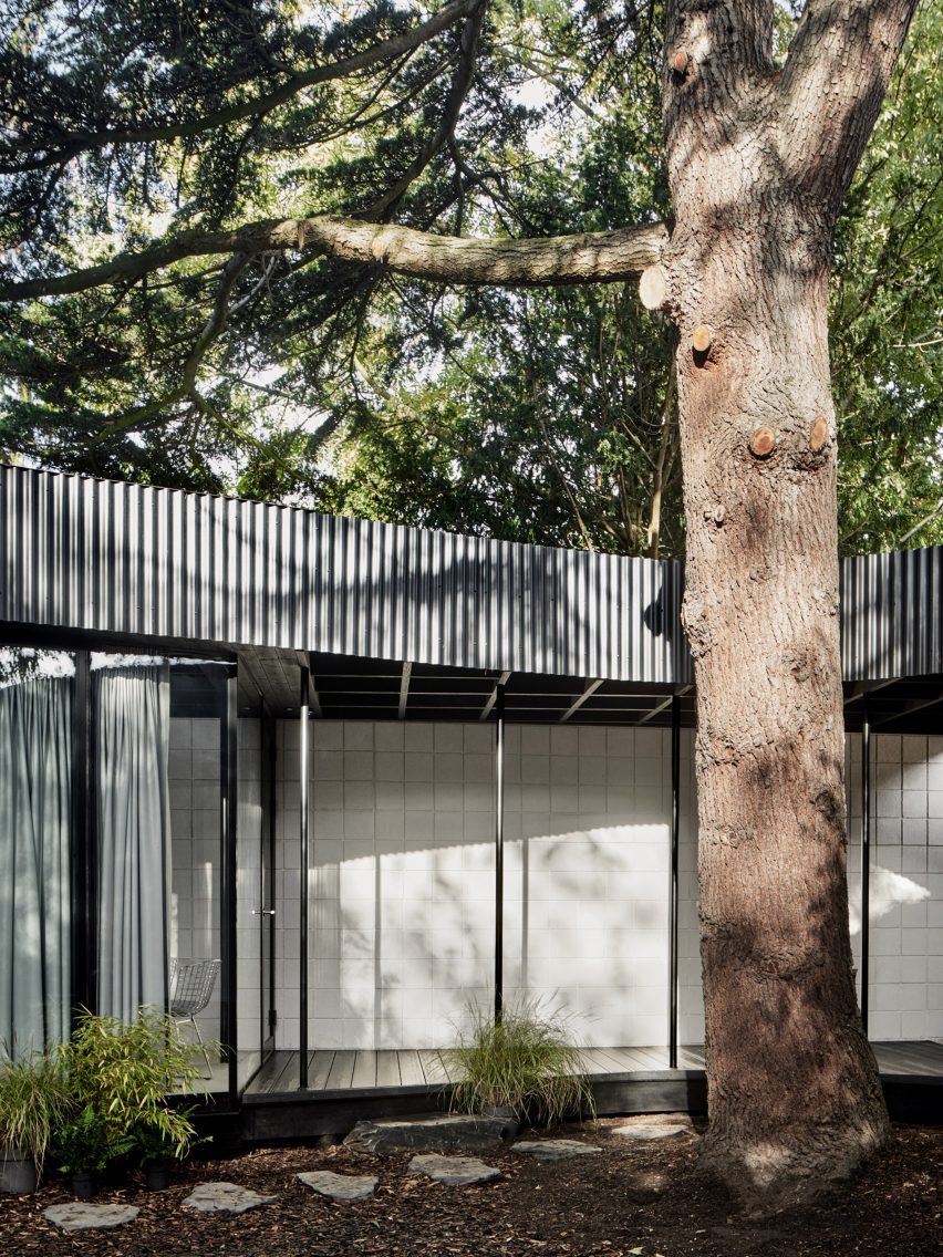 A Room Around a Tree in London by Tikari Works