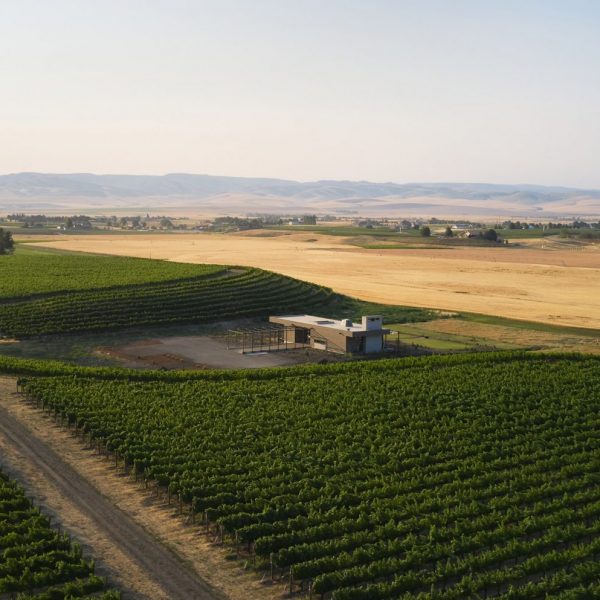 Alton wines