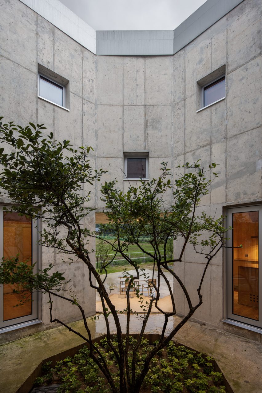 Tree in the courtyard of a concrete home