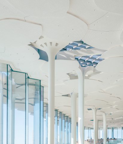 White tree-like columns