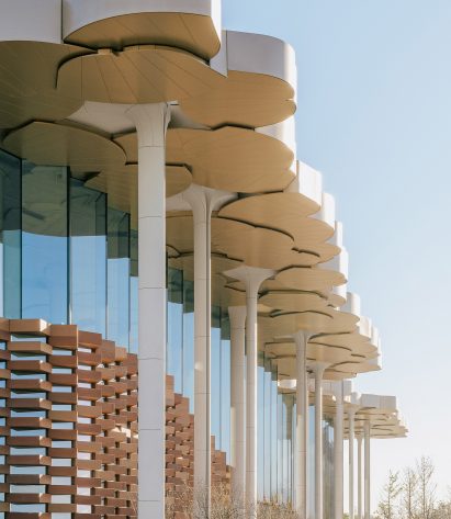 The tree-like columns of Beijing City Library by Snøhetta