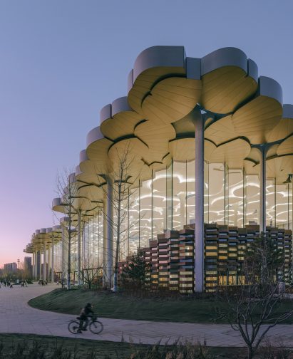 Exterior of building with tree-like columns