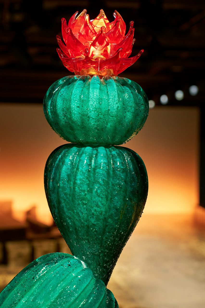 Close up of the glass flowering cacti