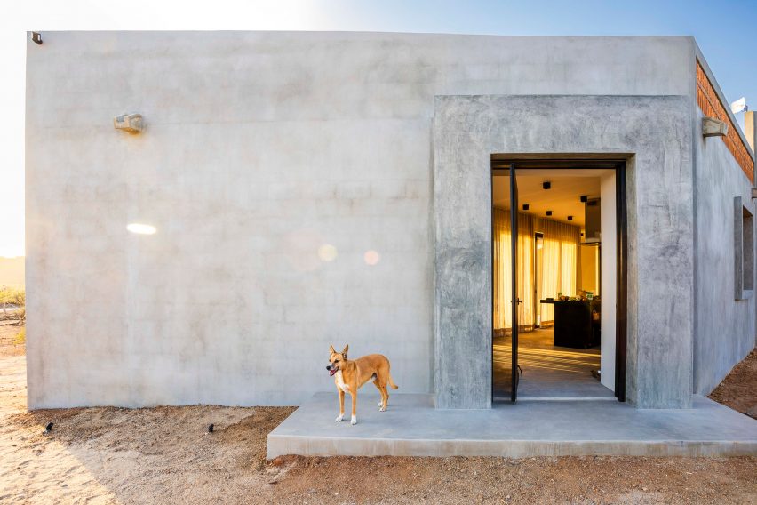 Dog outside of house