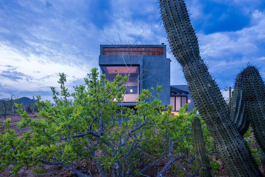 Concrete home surrounded by cacti