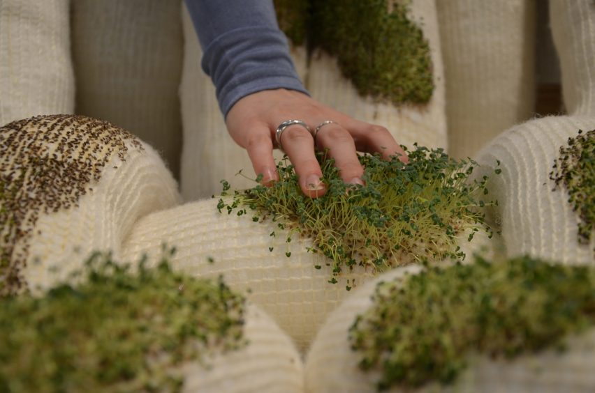 Chia-Chair for humans and plants by Alice Hultqvist, Emelie Sjöberg and Linnea Nilsson